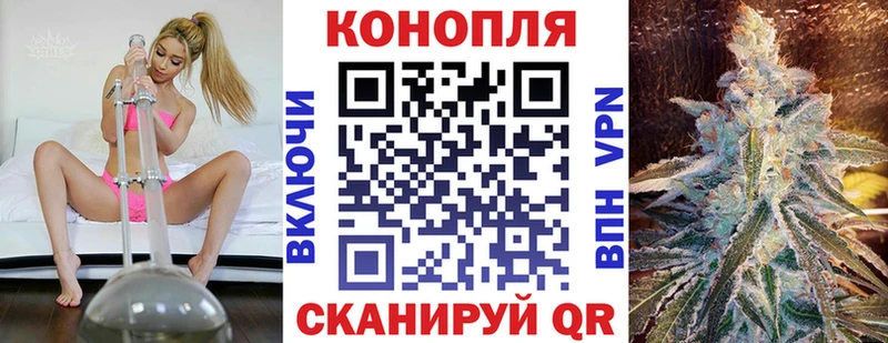 Канабис семена  Купить закладки  Куса 